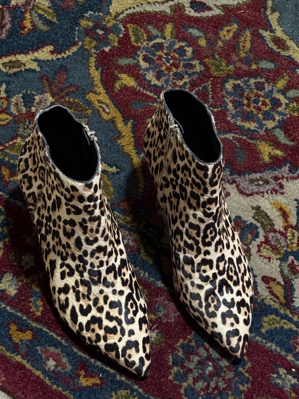 Sam Edelman Leopard Print Pointed Ankle Booties - Black & Tan - Picture 5 of 9